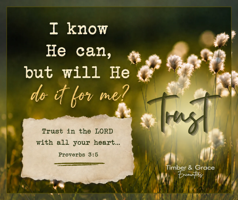 trust_20260814_105036_00001849919203715913608